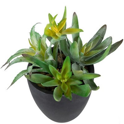  Northlight 11" Mixed Succulent Plant Artificial Potted Arrangement - Green/Black