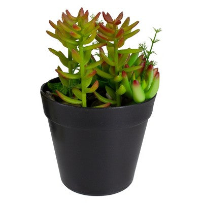  Northlight 8" Mixed Succulent Artificial Plant Arrangement In Pot - Green/Red