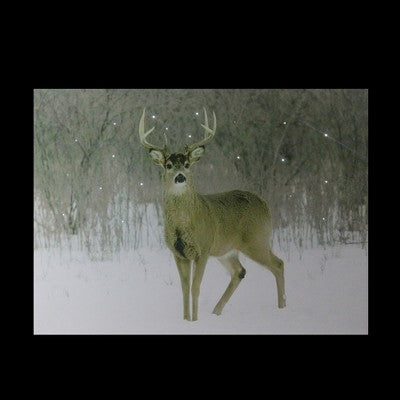  Northlight Fiber Optic Lighted Majestic Buck Canvas Wall Art 12" X 15.75"