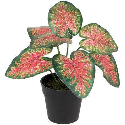  Northlight 8" Rohdea Spring Floral Artificial Potted Plant