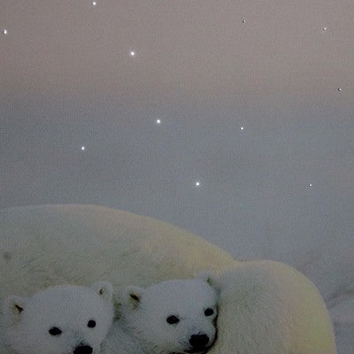  Northlight Fiber Optic Lighted Mama Polar Bear And Cubs Canvas Wall Art 23.5" X 15.5"