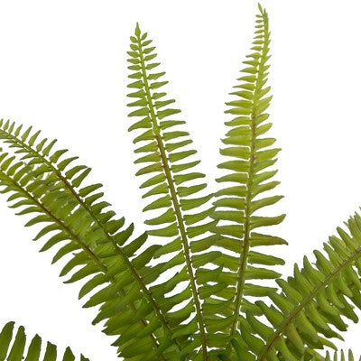  Northlight 12" Artificial Boston Fern Plant In Aztec Pattern Ceramic Pot