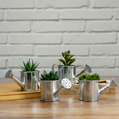  Northlight 4" Echeveria Succulent In Watering Can Artificial Potted Plant - Green/Silver