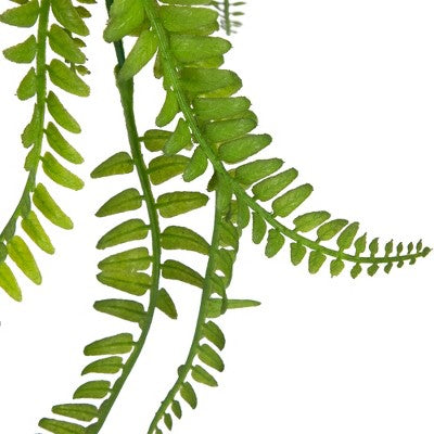  Northlight 18" Artificial Fern Plant With Moss Ball And Hanging Jute Cord