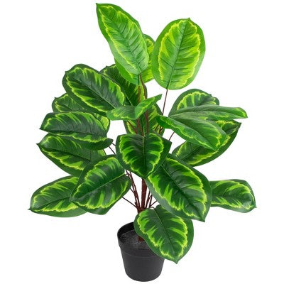  Northlight 30" Two-Tone Green Calathea Artificial Potted Plant