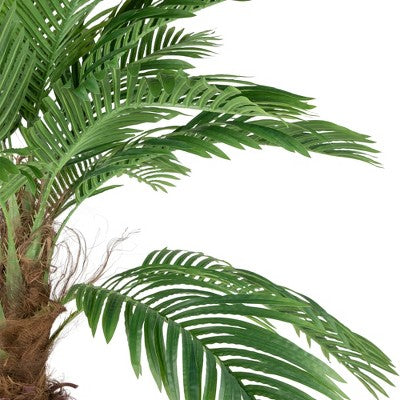 Northlight 8' Unlit Artificial Potted Phoenix Palm Tree