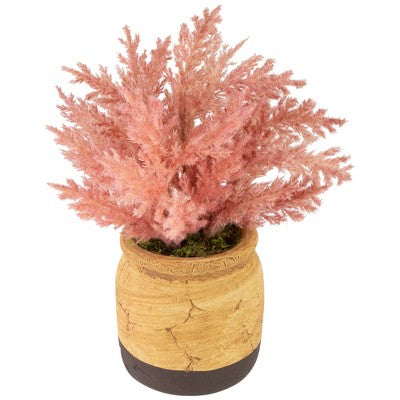  Northlight 12" Pink Cypress Artificial Plant In A Ceramic Pot