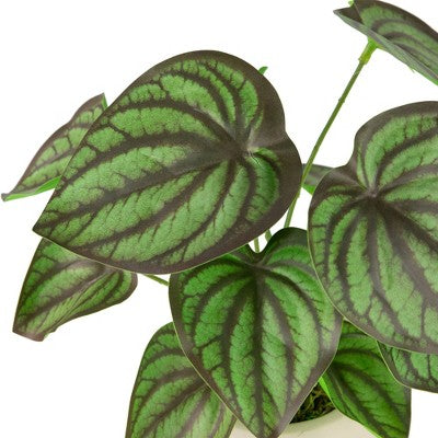  Northlight 10.25" Artificial Peperomia Plant In Two-Tone Ceramic Pot