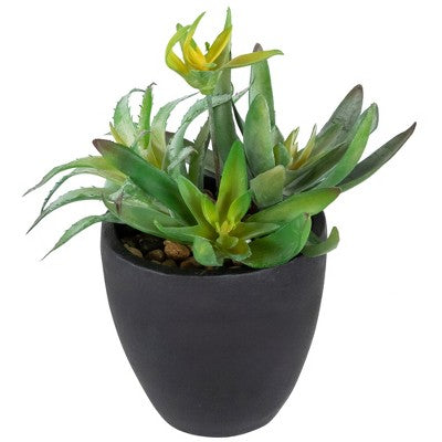  Northlight 11" Mixed Succulent Plant Artificial Potted Arrangement - Green/Black