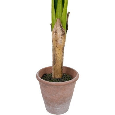  Northlight 4' Artificial Tropical Banana Tree In A Clay Pot