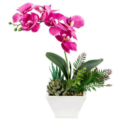  Northlight 12" Orchid With Succulent Artificial Potted Plant - Pink