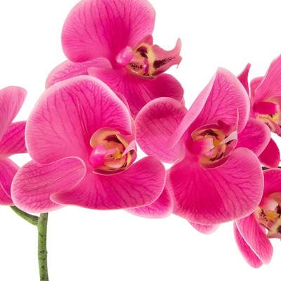  Northlight Real Touch™ Pink Artificial Spring Orchids In A Striped Ceramic Pot 2"