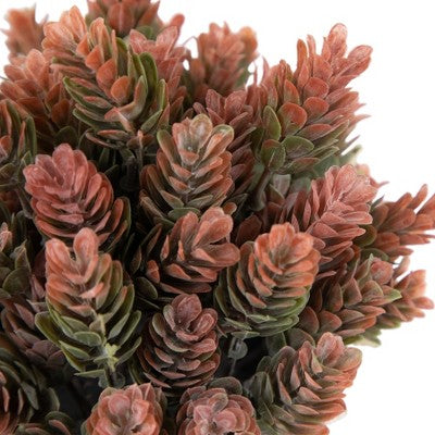  Northlight 8" Two-Tone Wild Flower Artificial Plant In A Textured Lined Pot