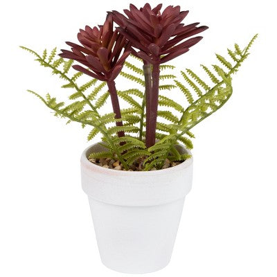  Northlight Succulent Fern In Ceramic Pot - 8"