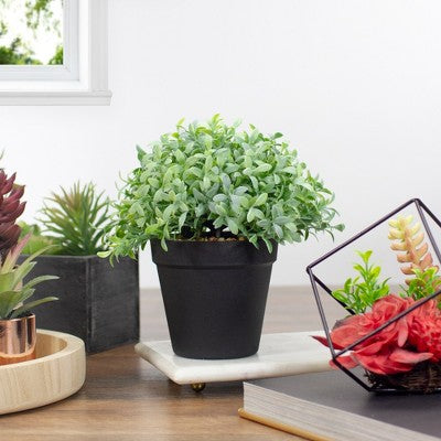  Northlight 7.5" Potted Green Artificial Boxwood Plant