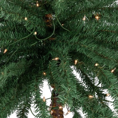  Northlight 6' Pre-Lit Artificial Tropical Outdoor Patio Palm Tree - Clear Lights