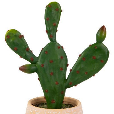  Northlight Real Touch™ Artificial Green And Red Potted Floral Cactus 9.5"