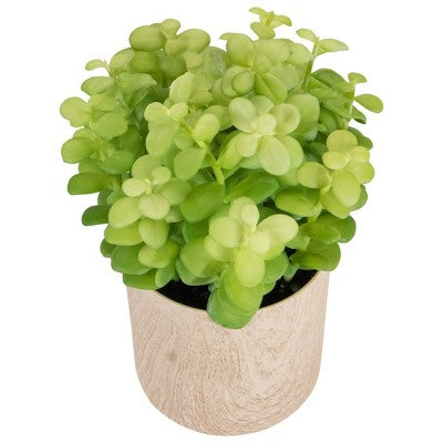  Northlight 10" Green Artificial Privet Plant In Faux Wood Pot