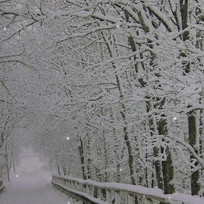  Northlight Large Fiber Optic Lighted Winter Wooden Bridge Canvas Wall Art 23.5" X 15.5"