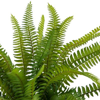  Northlight 20" Boston Fern Artificial Plant In Weathered Square Planter - Green/Gray