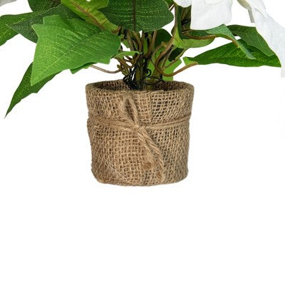  Northlight 11.75" LED Artificial White Poinsettia Potted Plant - Clear Lights