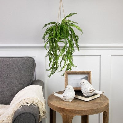  Northlight 18" Artificial Fern Plant With Moss Ball And Hanging Jute Cord