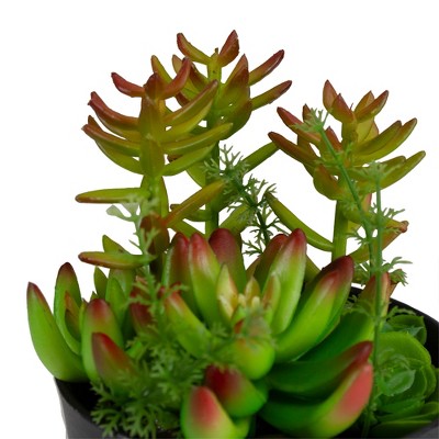  Northlight 8" Mixed Succulent Artificial Plant Arrangement In Pot - Green/Red