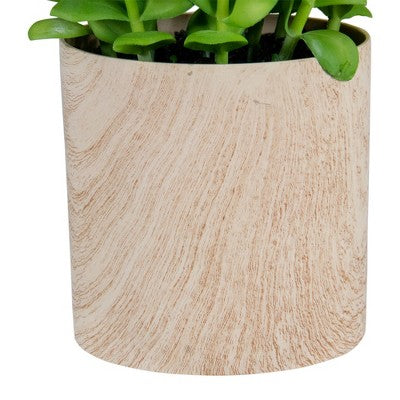  Northlight 10" Green Artificial Privet Plant In Faux Wood Pot