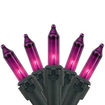  Northlight Mini Incandescent Christmas Lights - Purple - 20.25' Black Wire - 100ct