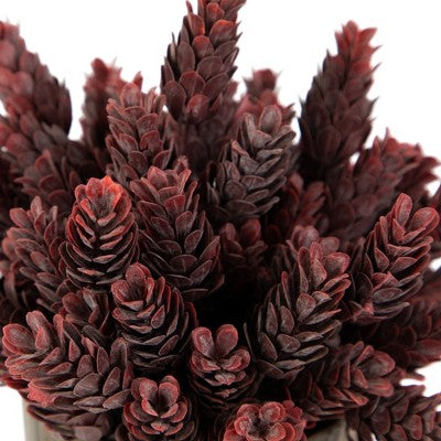  Northlight 8" Burgundy Red Wild Flower Artificial Plant In A Textured Lined Pot