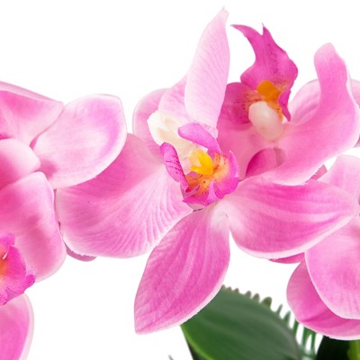  Northlight 13" Orchid With Succulent Artificial Potted Plant - Pink