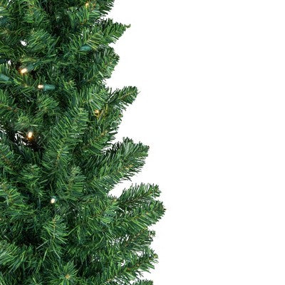  Northlight Pre-Lit Pencil Northern Balsam Fir Artificial Christmas Tree - 6' - Warm Clear LED Lights