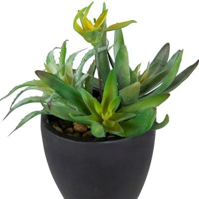  Northlight 11" Mixed Succulent Plant Artificial Potted Arrangement - Green/Black