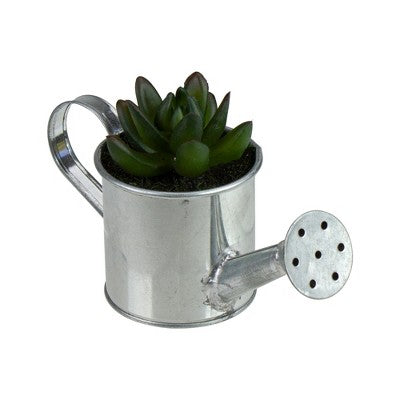  Northlight 4" X Pachyveria Succulent In Water Can Artificial Potted Plant - Green/Silver