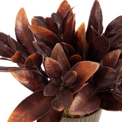  Northlight 8" Two-Tone Artificial Foliage Plant In A Textured Lined Pot