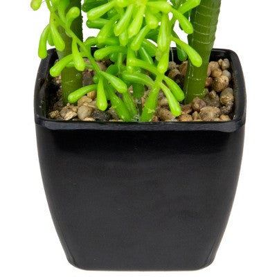  Northlight 6" Potted Green Artificial Succulent Arrangement