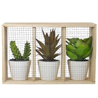  Northlight 10.75" Artificial Mixed Potted Succulents In Wooden Box