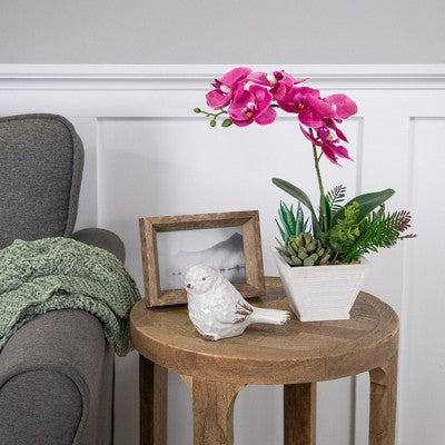  Northlight 12" Orchid With Succulent Artificial Potted Plant - Pink