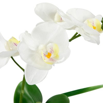  Northlight 12" Orchid And Succulents Artificial Potted Flower Arrangement - Green/White