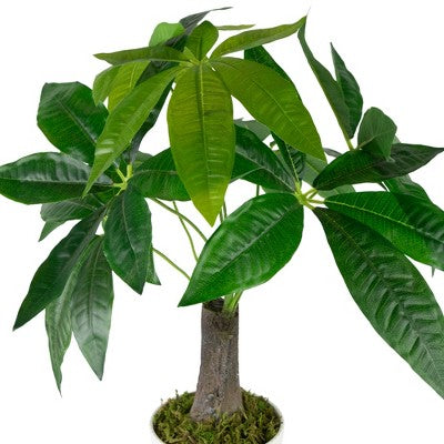  Northlight 18.5" Artificial Guiana Chestnut Plant In White Pot