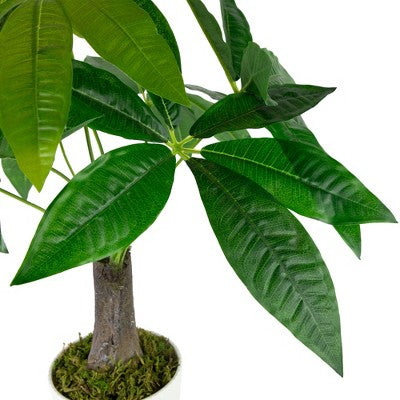  Northlight 18.5" Artificial Guiana Chestnut Plant In White Pot