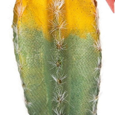 Northlight 8.5" Flowering Cactus Artificial Plant Table Top Decoration - Green/Yellow