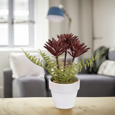  Northlight Succulent Fern In Ceramic Pot - 8"