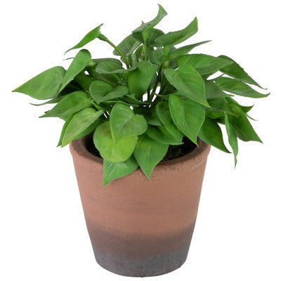  Northlight Real Touch™ Artificial Peperomia Watermelon Begonia Plant In Terracotta Style Pot - 7"